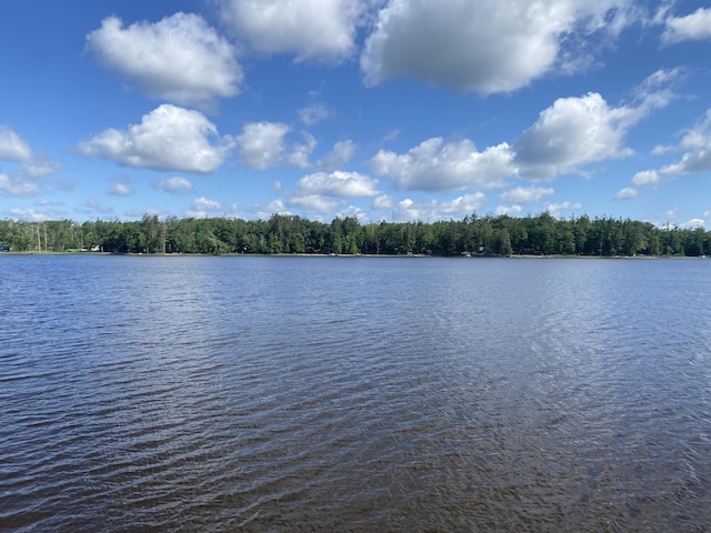 13640 W Shore Dr, Millersburg, MI 49759 - photo 98