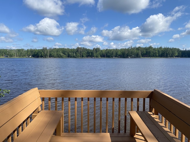 13640 W Shore Dr, Millersburg, MI 49759 - photo 96