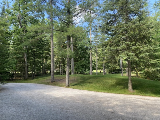 13640 W Shore Dr, Millersburg, MI 49759 - photo 23