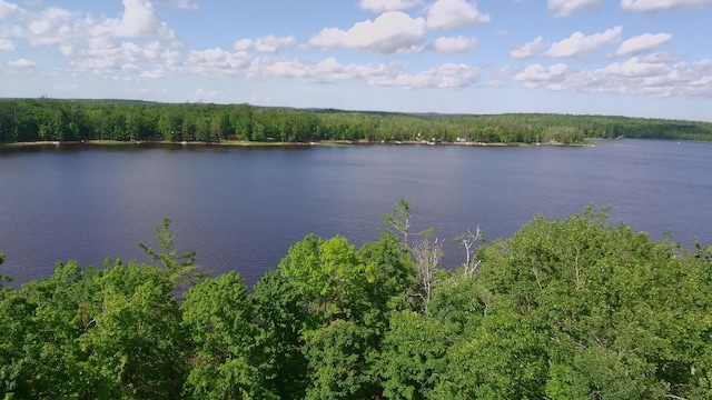 13640 W Shore Dr, Millersburg, MI 49759 - photo 108