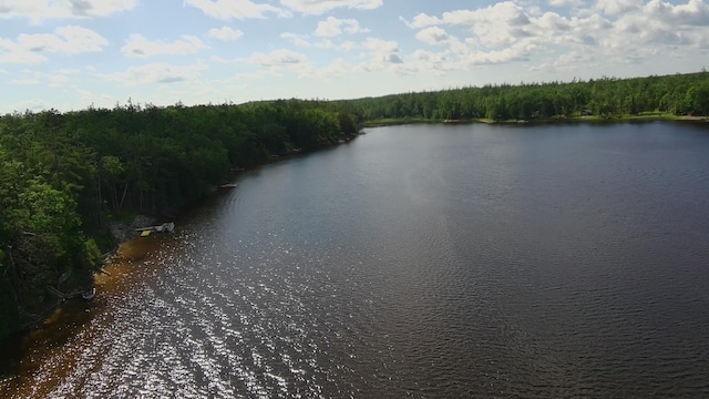 13640 W Shore Dr, Millersburg, MI 49759 - photo 109