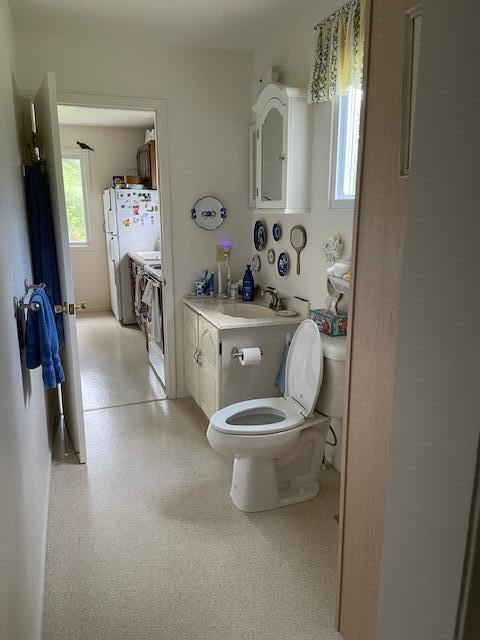 22551 Theiner Trl, Hillman, MI 49746 - bathroom featuring toilet and vanity