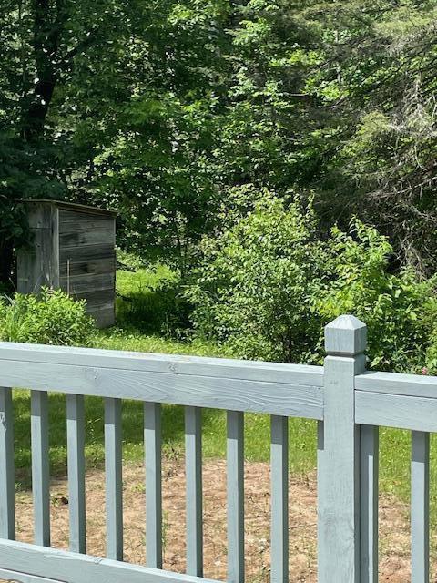 22551 Theiner Trl, Hillman, MI 49746 - view of yard