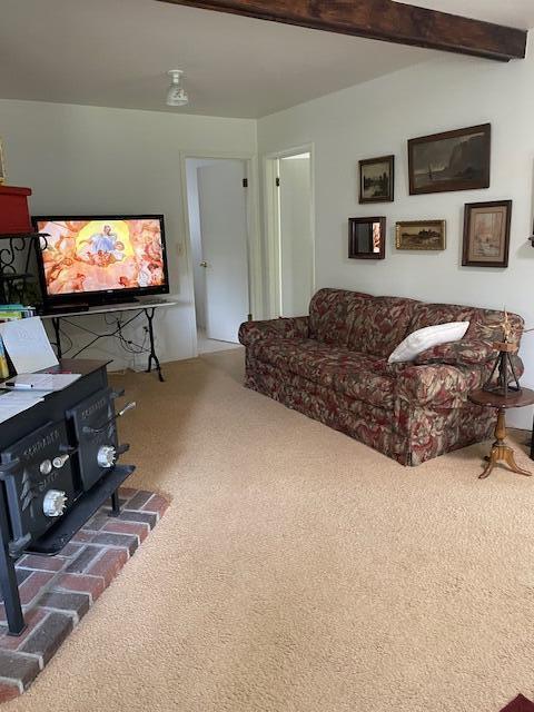 22551 Theiner Trl, Hillman, MI 49746 - living area featuring a wood stove and carpet