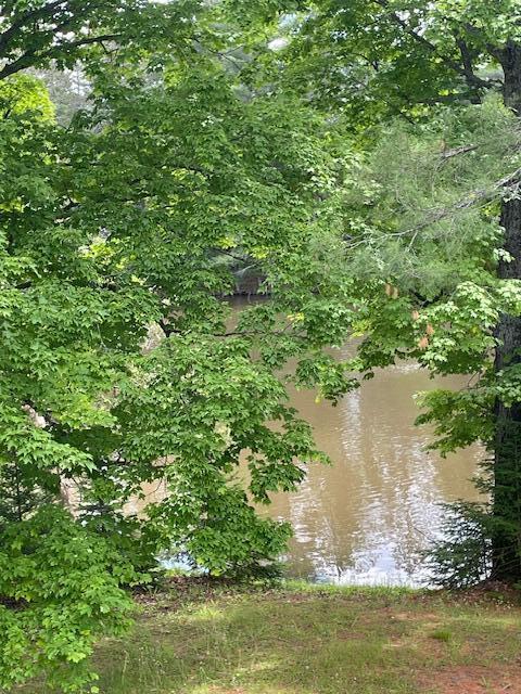 22551 Theiner Trl, Hillman, MI 49746 - water view