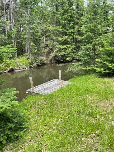 22551 Theiner Trl, Hillman, MI 49746 - view of dock area
