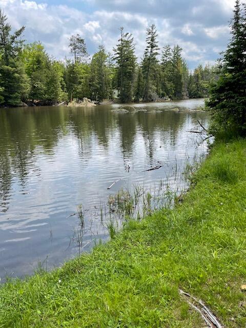 22551 Theiner Trl, Hillman, MI 49746 - water view with a forest
