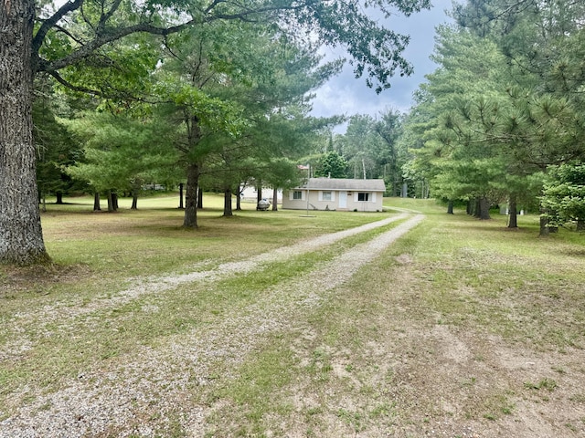 36 S Mcmasters Bridge Rd, Grayling, MI 49738 - view of grassy yard with dirt driveway