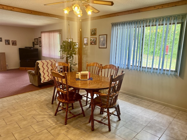36 S Mcmasters Bridge Rd, Grayling, MI 49738 - dining space featuring ceiling fan and a textured ceiling