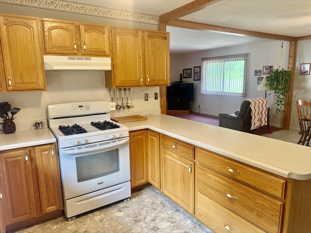 36 S Mcmasters Bridge Rd, Grayling, MI 49738 - kitchen featuring white range with gas cooktop, under cabinet range hood, a peninsula, backsplash, and light countertops