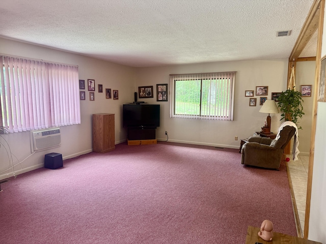 36 S Mcmasters Bridge Rd, Grayling, MI 49738 - carpeted living room featuring a textured ceiling and baseboards
