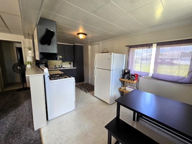 7931 Mill St, Vanderbilt, MI 49795 - kitchen featuring white appliances, light countertops, dark cabinetry, and light flooring