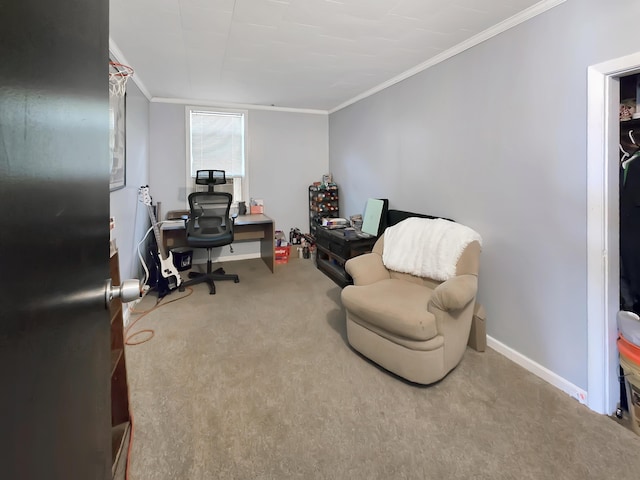 7931 Mill St, Vanderbilt, MI 49795 - office with ornamental molding and carpet