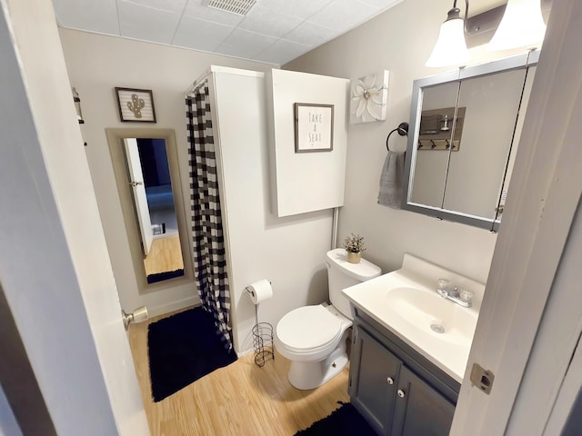 7931 Mill St, Vanderbilt, MI 49795 - full bathroom featuring vanity, wood finished floors, and a shower with curtain