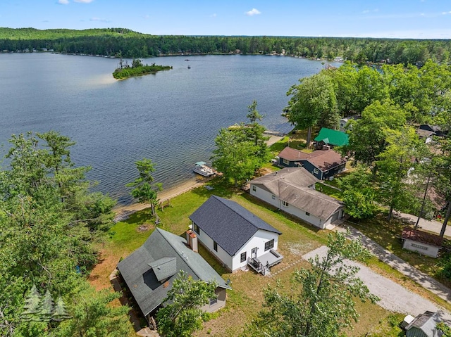 4620 Pinewood Dr, Lewiston, MI 49756 - aerial view of a large body of water