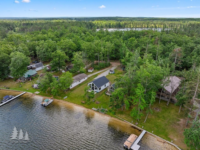 4620 Pinewood Dr, Lewiston, MI 49756 - bird's eye view of a nearby body of water