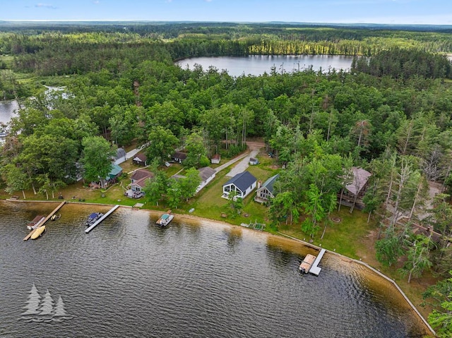 4620 Pinewood Dr, Lewiston, MI 49756 - bird's eye view of a heavily wooded area and a large body of water