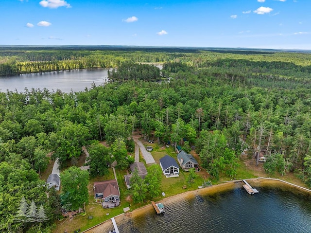 4620 Pinewood Dr, Lewiston, MI 49756 - aerial view of property's location featuring a heavily wooded area and a large body of water