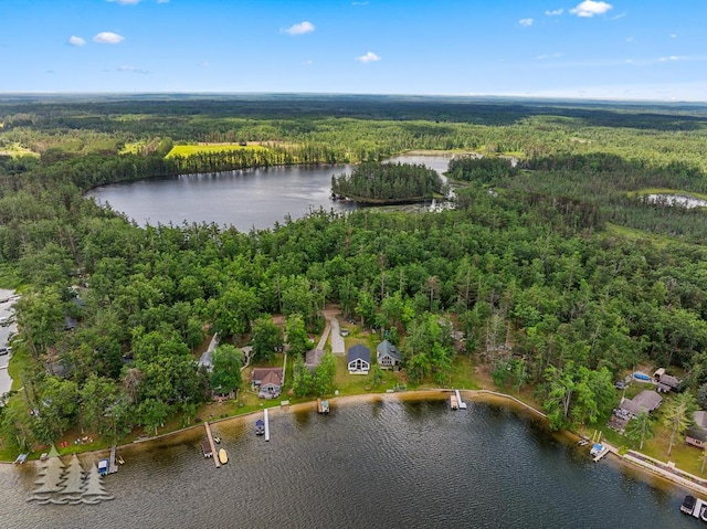 4620 Pinewood Dr, Lewiston, MI 49756 - aerial view of property's location featuring a heavily wooded area and a large body of water