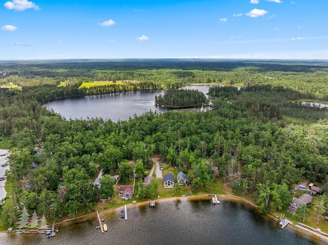4620 Pinewood Dr, Lewiston, MI 49756 - aerial view of property's location with a heavily wooded area and a nearby body of water