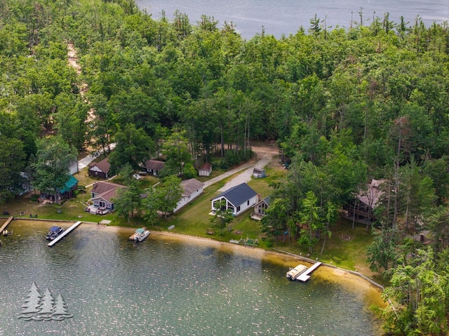 4620 Pinewood Dr, Lewiston, MI 49756 - aerial overview of property's location featuring a large body of water