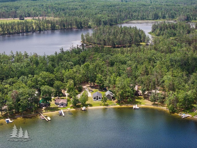 4620 Pinewood Dr, Lewiston, MI 49756 - drone / aerial view of a nearby body of water