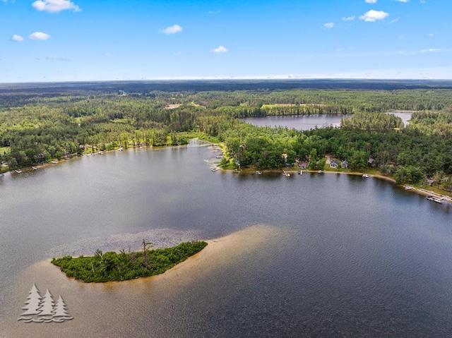 4620 Pinewood Dr, Lewiston, MI 49756 - drone / aerial view of a heavily wooded area and a nearby body of water