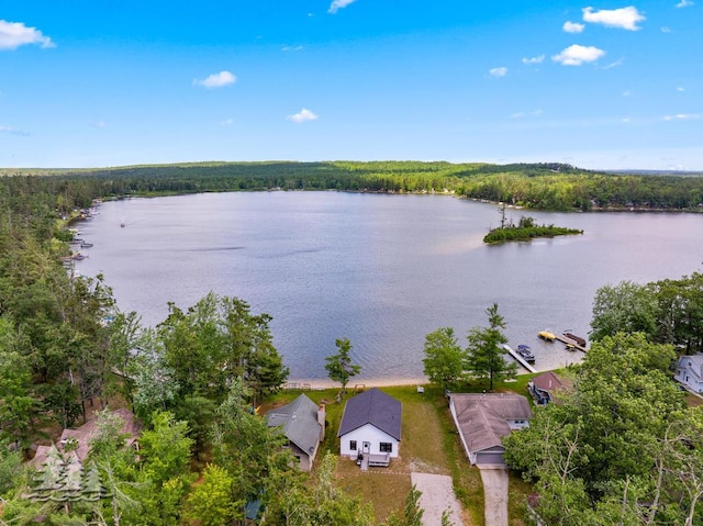 4620 Pinewood Dr, Lewiston, MI 49756 - drone / aerial view of a large body of water