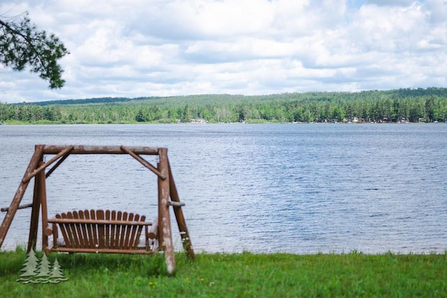 4620 Pinewood Dr, Lewiston, MI 49756 - dock with a forest view and a water view