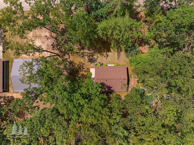 2911 Birch St, Lewiston, MI 49756 - aerial view of property and surrounding area