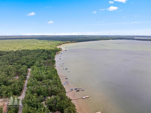 2911 Birch St, Lewiston, MI 49756 - bird's eye view of a heavily wooded area