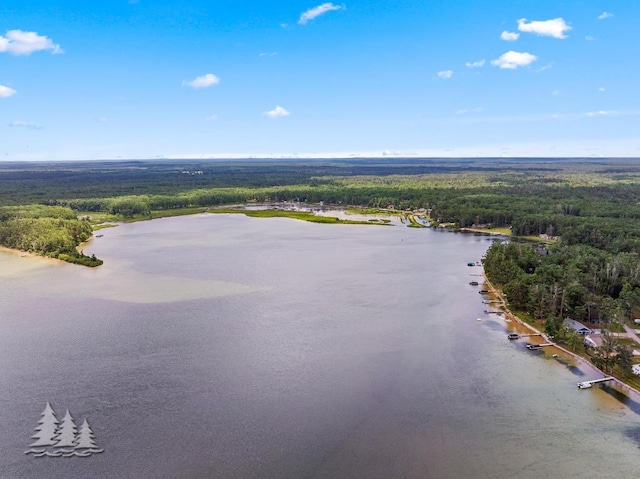 2911 Birch St, Lewiston, MI 49756 - aerial view of a heavily wooded area and a nearby body of water