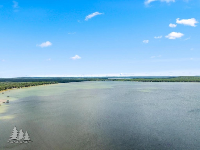 2911 Birch St, Lewiston, MI 49756 - water view