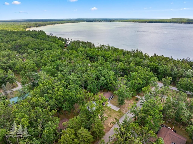 2911 Birch St, Lewiston, MI 49756 - aerial view of property and surrounding area featuring a nearby body of water and a heavily wooded area