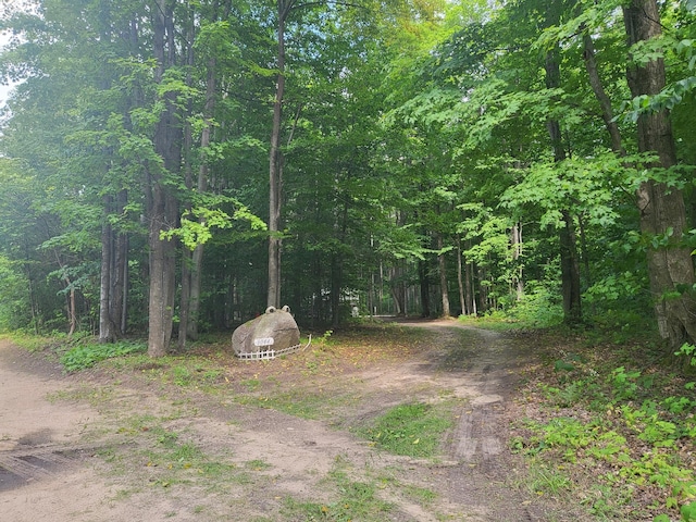 9044 N Deer Trl, Frederic, MI 49733