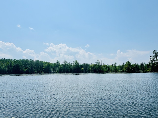 6378 Macey Ln, Alpena, MI 49707 - photo 1