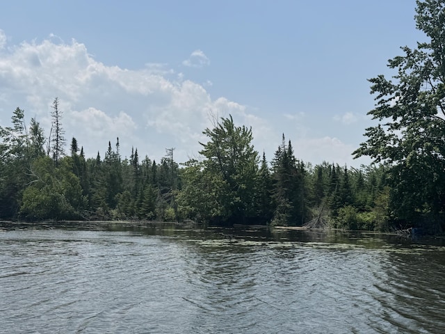 6378 Macey Ln, Alpena, MI 49707 - photo 8