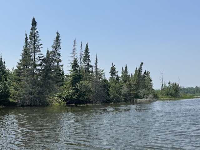 6378 Macey Ln, Alpena, MI 49707 - photo 9