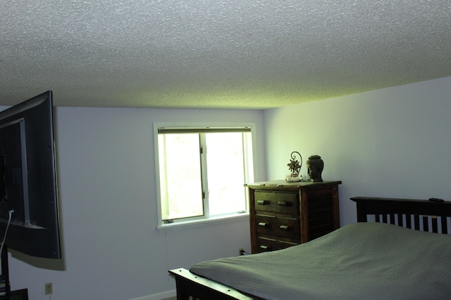 11730 Crossbow Dr, Elmira, MI 49730 - photo 18