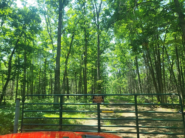 VL W Jones Lake Rd, Grayling, MI 49738