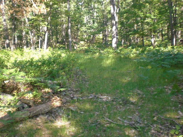VL W Jones Lake Rd, Grayling, MI 49738