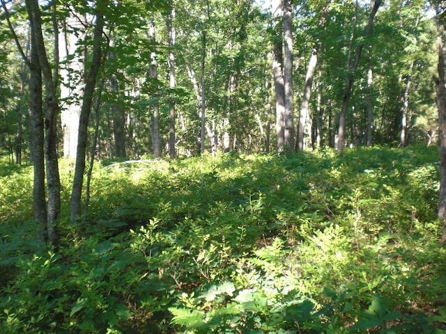 VL W Jones Lake Rd, Grayling, MI 49738