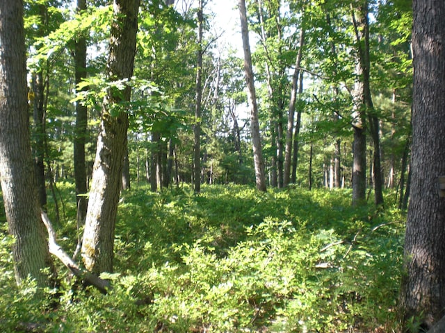 VL W Jones Lake Rd, Grayling, MI 49738