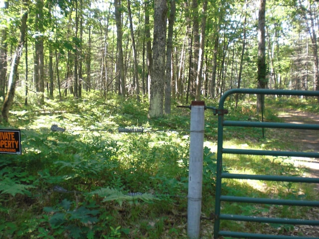 VL W Jones Lake Rd, Grayling, MI 49738