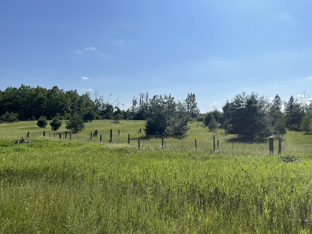 12395 Atkinson Rd, Lachine, MI 49753 - view of nature with rural landscape