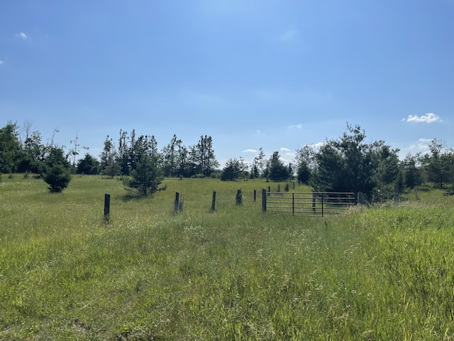 12395 Atkinson Rd, Lachine, MI 49753 - view of undeveloped land with rural landscape