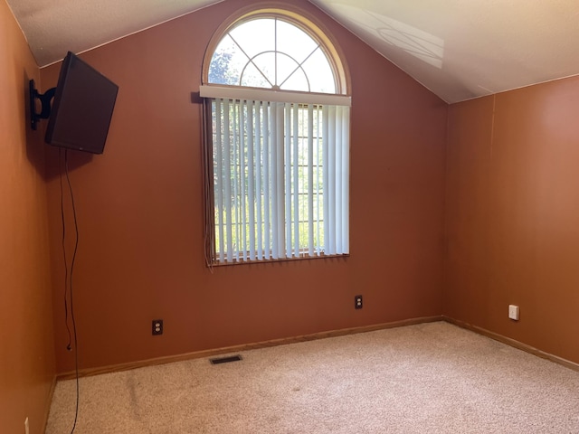 12395 Atkinson Rd, Lachine, MI 49753 - additional living space with carpet and lofted ceiling
