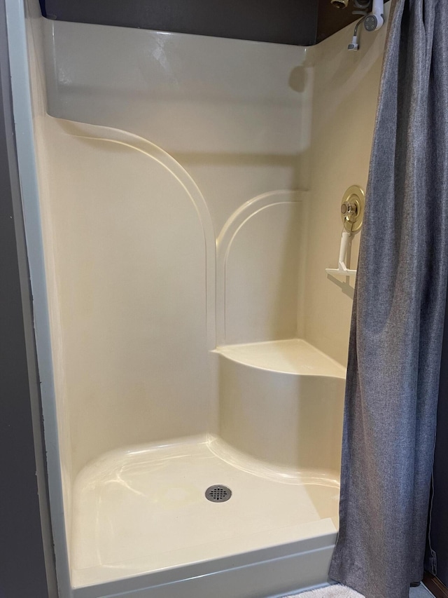 12395 Atkinson Rd, Lachine, MI 49753 - full bathroom with a shower with shower curtain