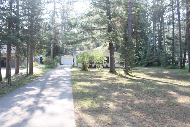 3893 S Gladwin Rd, Prudenville, MI 48651 - photo 21