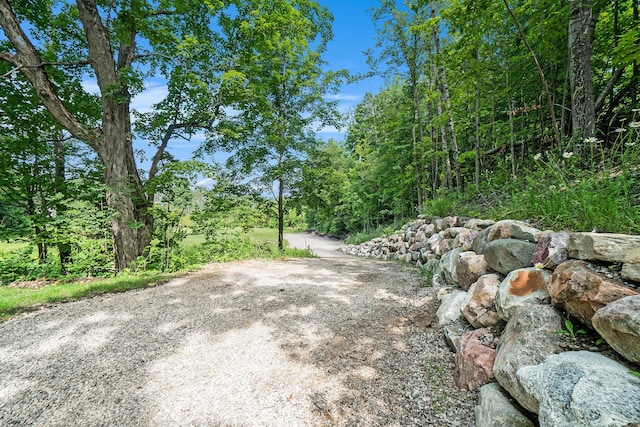 9596 Meyers Rd, Wolverine, MI 49799 - photo 8